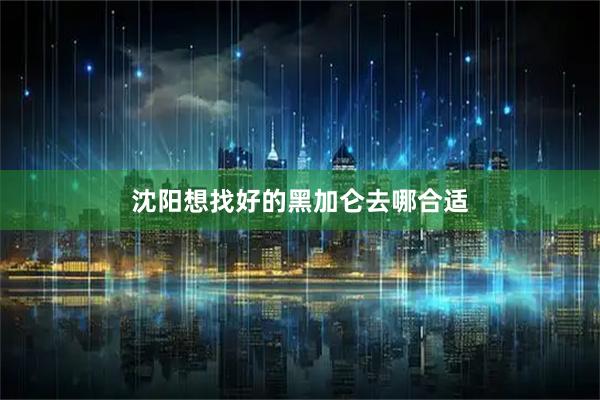 沈阳想找好的黑加仑去哪合适