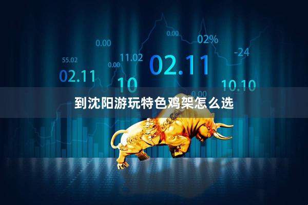 到沈阳游玩特色鸡架怎么选